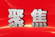 陈文清在湖北调研时强调 惩防并举 标本兼治 综合治理 形成合力 全力维护社会安全稳定-sinopecsales